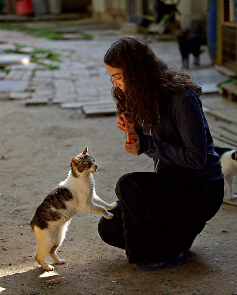 Animal Care