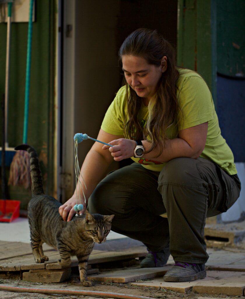 Animal Care