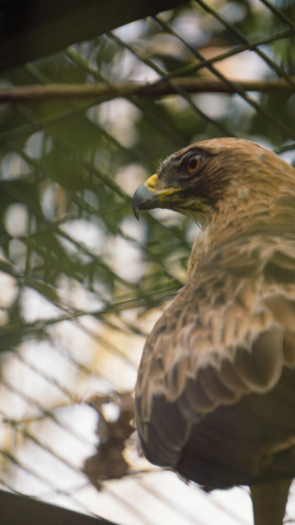 Biological Park Conservation