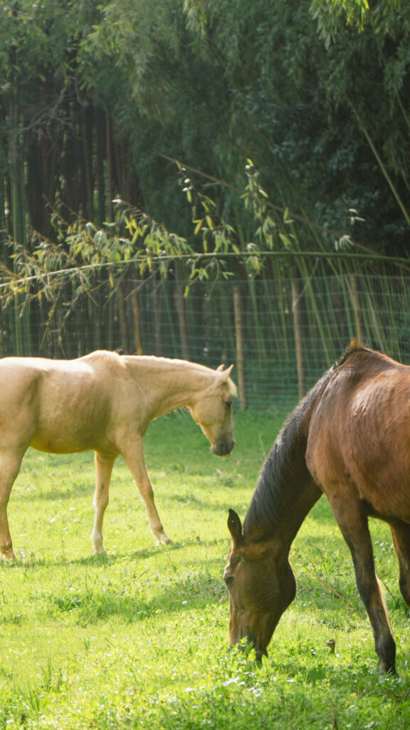 Biological Park Conservation