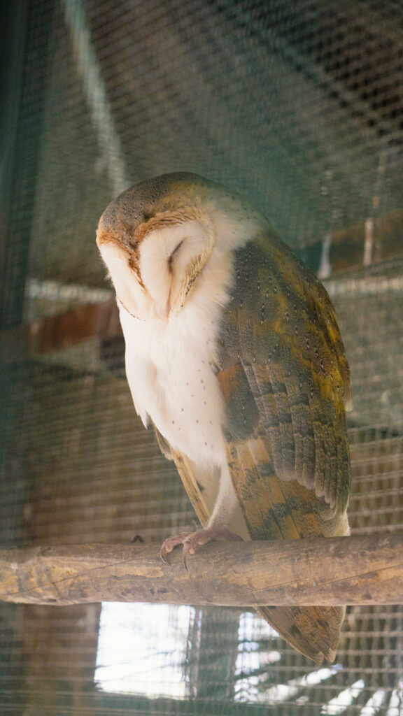 Biological Park Conservation