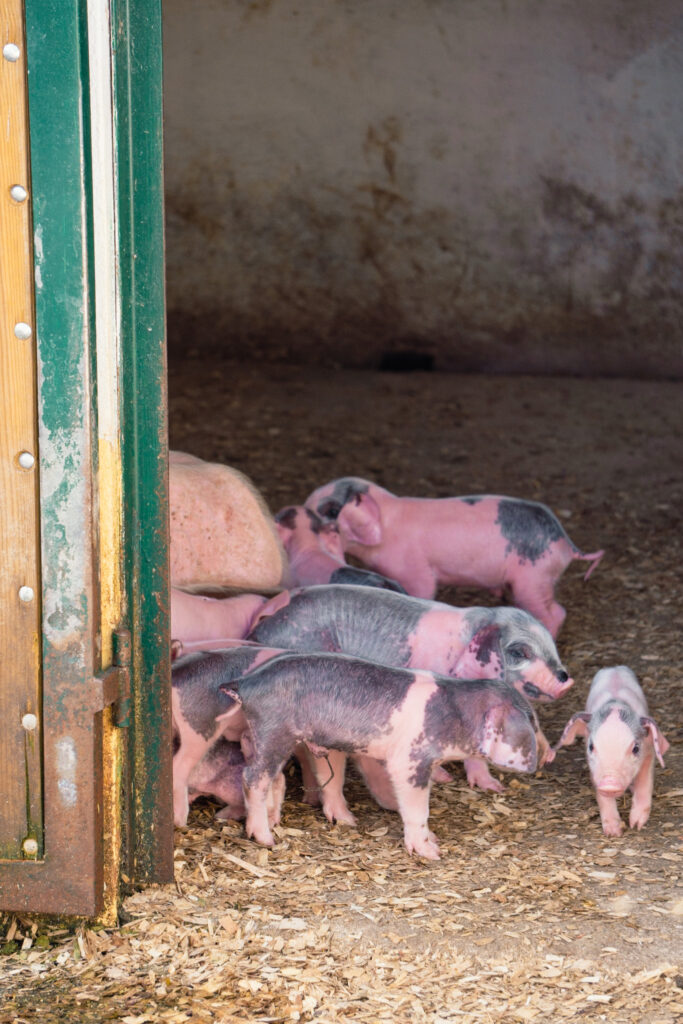 Biological Park Conservation