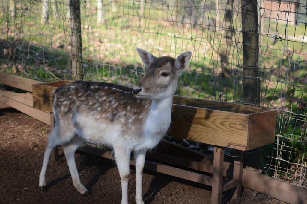 Biological Park Conservation