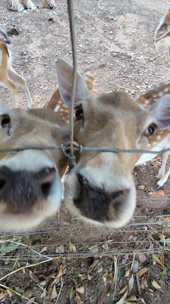 Biological Park Conservation