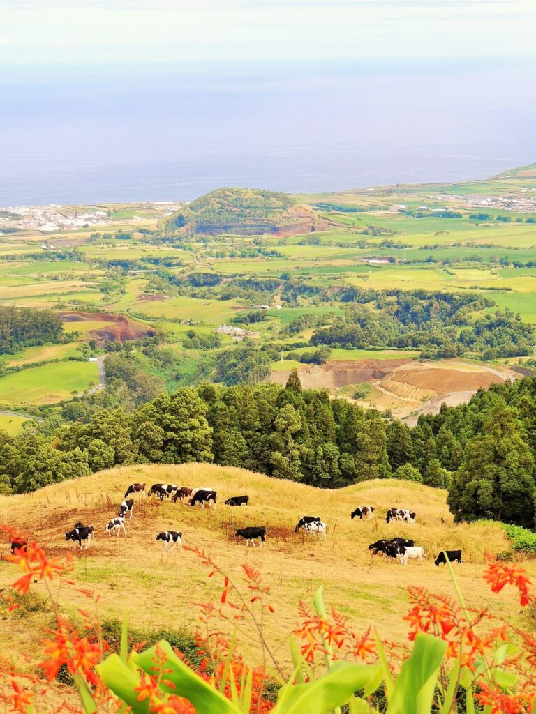 Azores - São Miguel Island