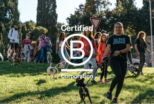We are proud to be a B Corp!