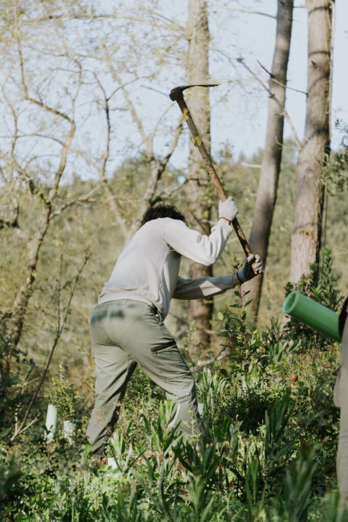Spring Break Impact Camp