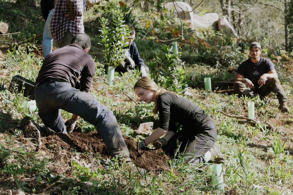 Spring Break Impact Camp