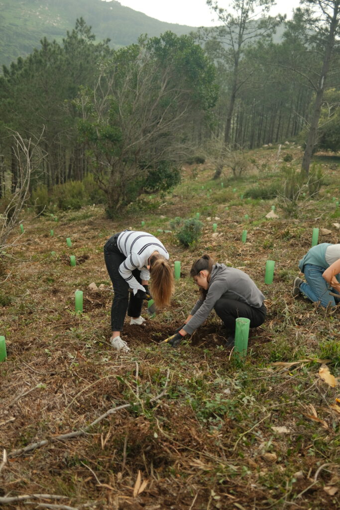 Spring Break Impact Camp