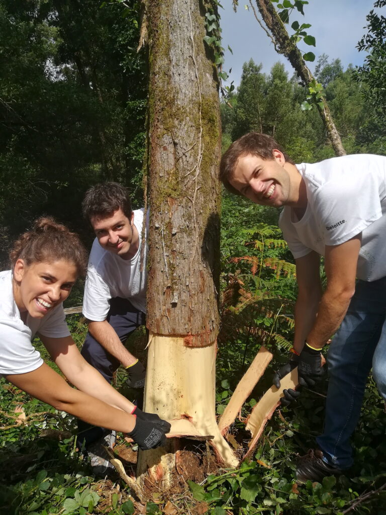 Spring Break Impact Camp