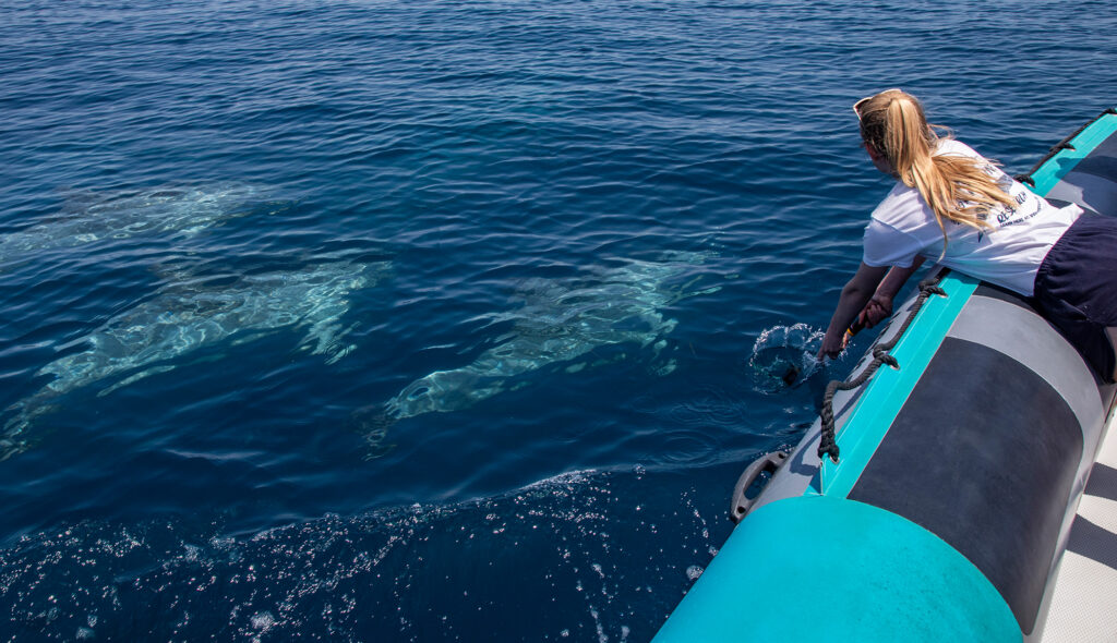 Marine Biology