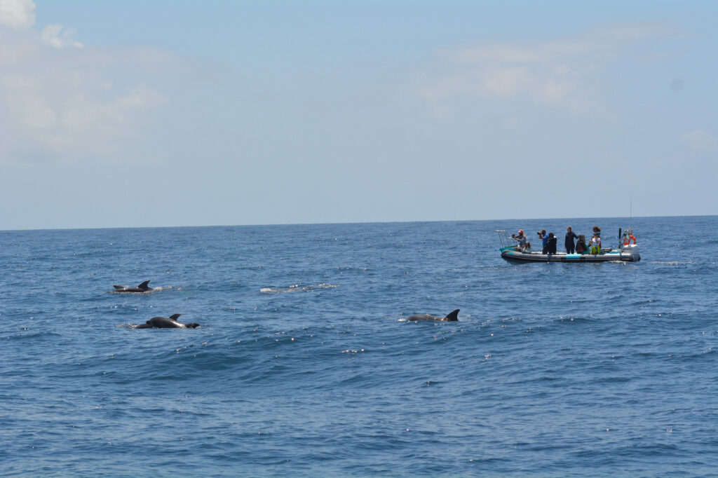 Marine Biology