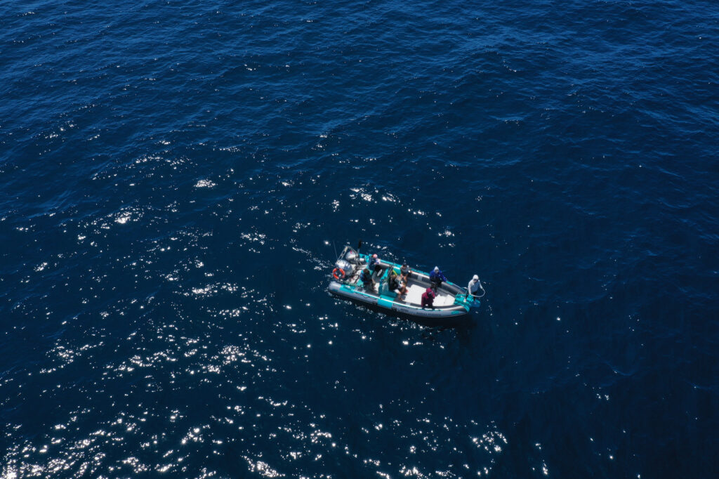 Marine Biology